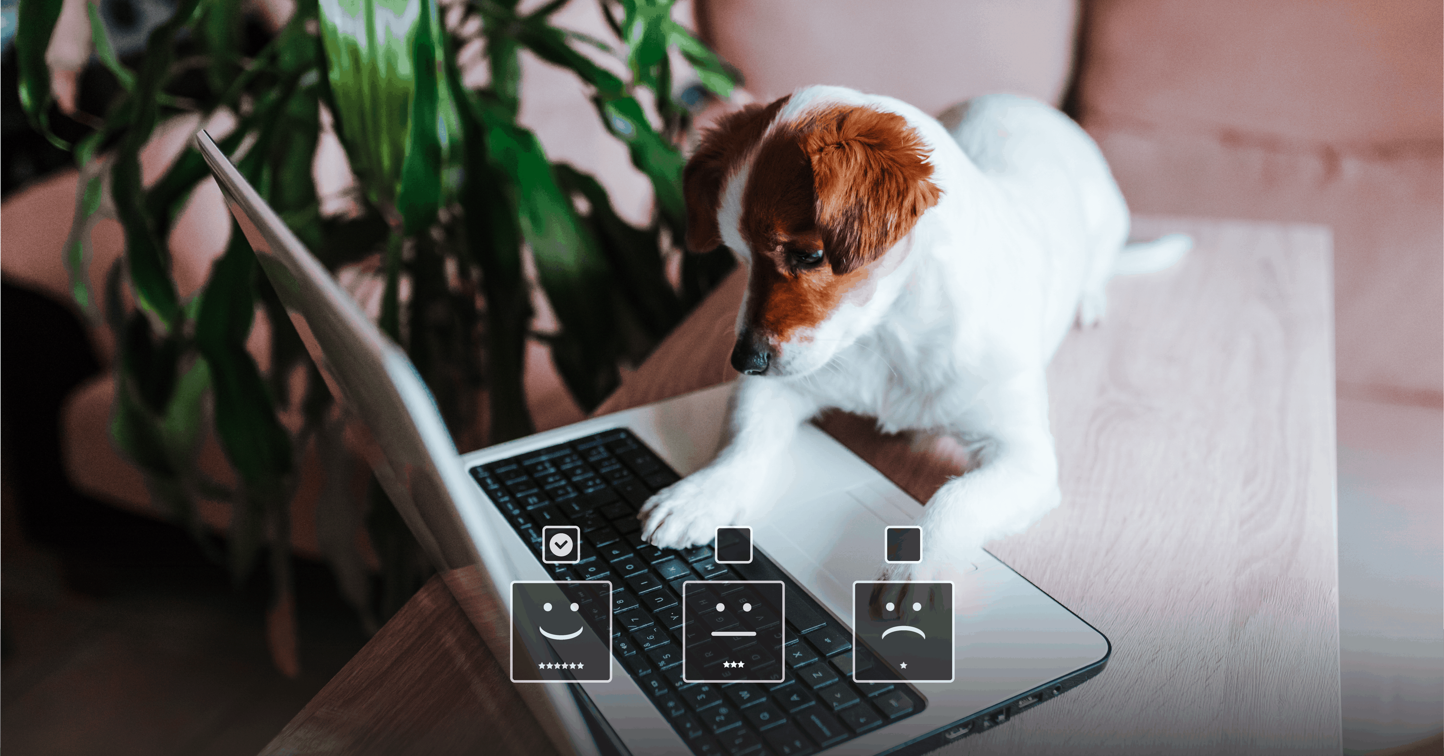 A dog seated on a table looks at a laptop with a paw on the keyboard. 3 icons show happy, neutral, and sad faces at the bottom of the image.